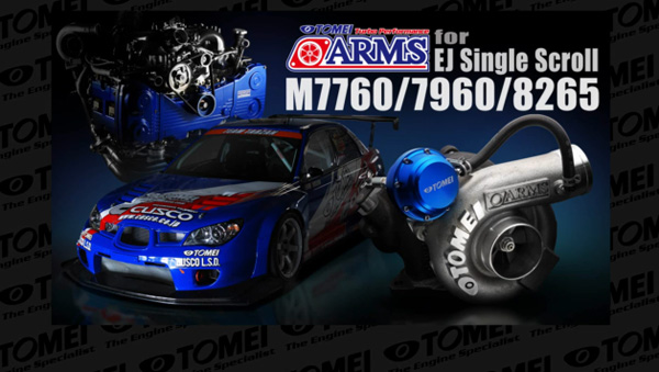 Video-ARMS-ej2025-eng