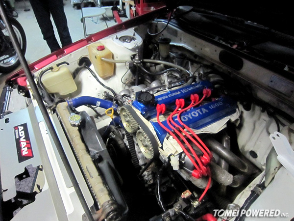 LorenzoAE86-IMG_2401