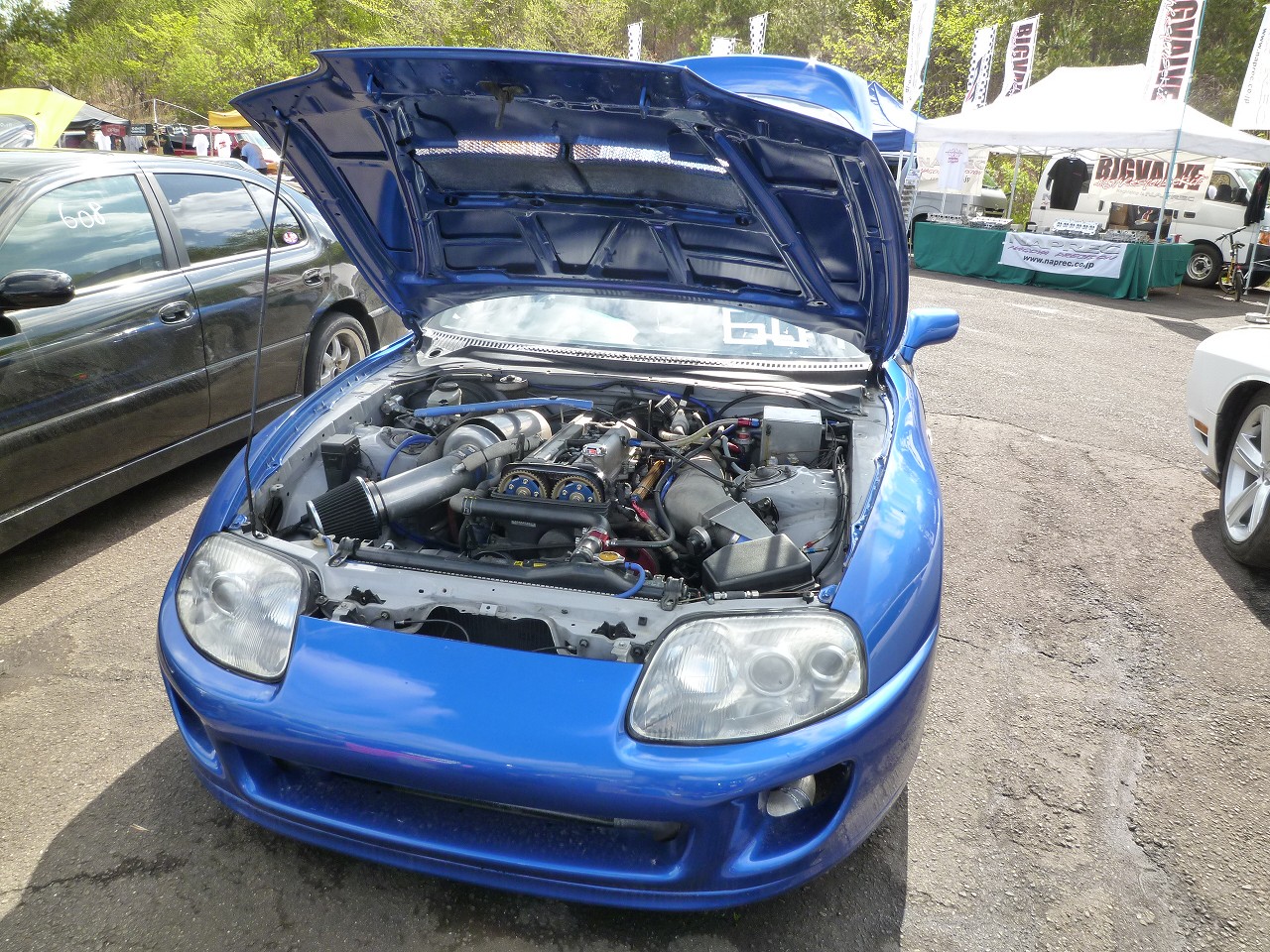 sP1020728