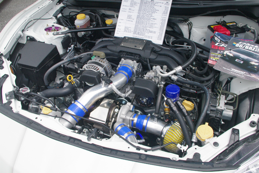 IMGP7119